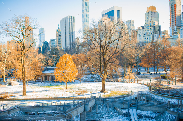Beautiful Central Park in New York City - Stock Photo - Images