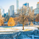 Beautiful Central Park in New York City - PhotoDune Item for Sale