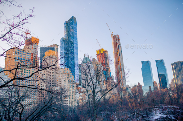 Beautiful Central Park in New York City - Stock Photo - Images