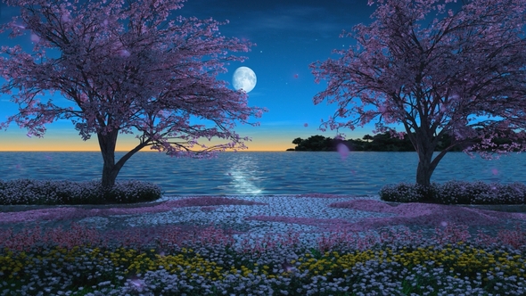 Two Sakura Trees at Night Park Near the Sea alt