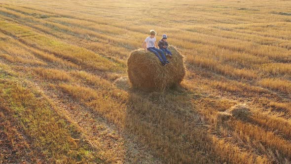 The Kids Sit on the Haystack alt