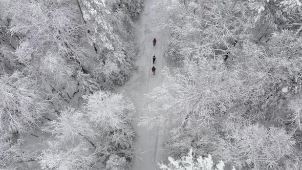 3 People Walking Beautiful Snow Forest in Winter Aerial View alt