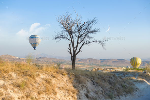 Hot air balloons landing - Stock Photo - Images