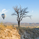 Hot air balloons landing - PhotoDune Item for Sale