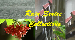 Rain Series Collection