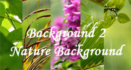 Background2 - Nature Background