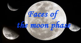 Faces of the Moon Phases