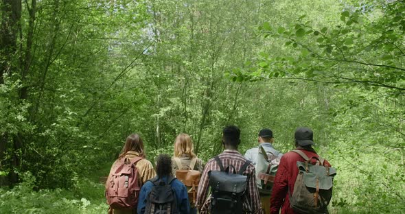 Young Multiracial People Hike to the Camp in the Summer Forest in Sunset Time  60p Prores
