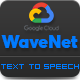 GCP Google Wavenet - Text to Speech Converter 