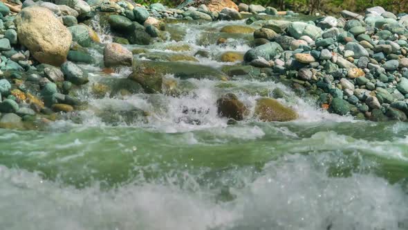 8K Clear River Flowing on Mossy Stones in Forest