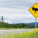 Highway warning roadsign attention moose crossing - PhotoDune Item for Sale