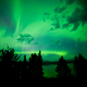 Intense green northern lights over boreal forest - PhotoDune Item for Sale