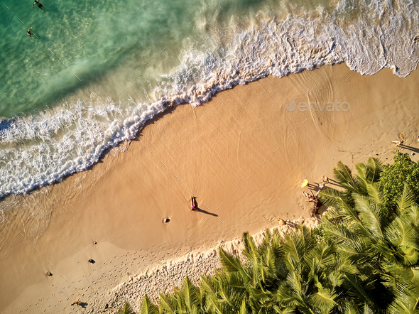 Beach at Seychelles aerial top view - Stock Photo - Images