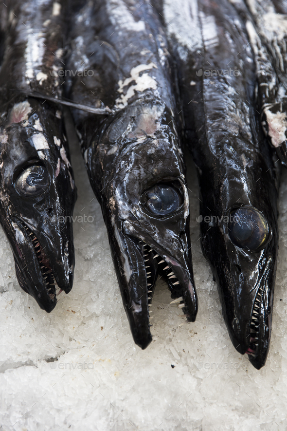 Espada fish on traditional fish market in Funchal at Madeira island, Portugal - Stock Photo - Images