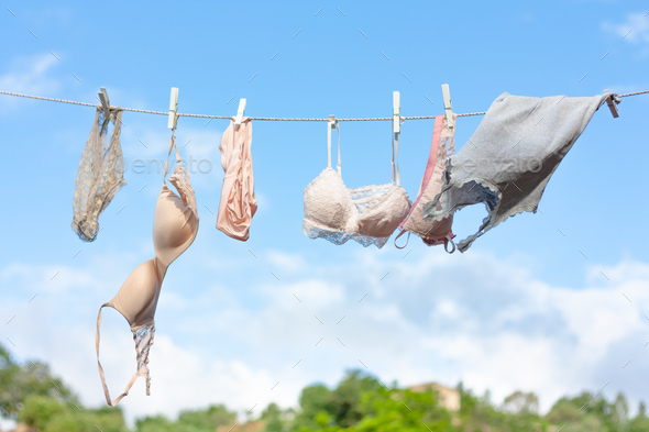 Female underwear is dried on a clothesline in a garden. Stock Photo by  trimarchi_photo