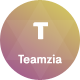 Teamzia - Team Card template