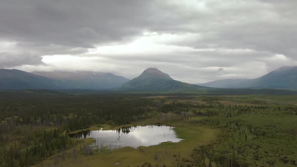 Peaceful View of Pond and Marshland Surrounded By Forest and Mountains alt