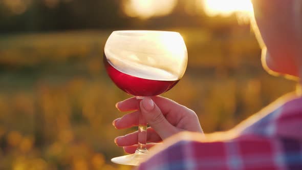 Hand with a Glass of Wine Against the Background of a Grape Field and Sunset alt