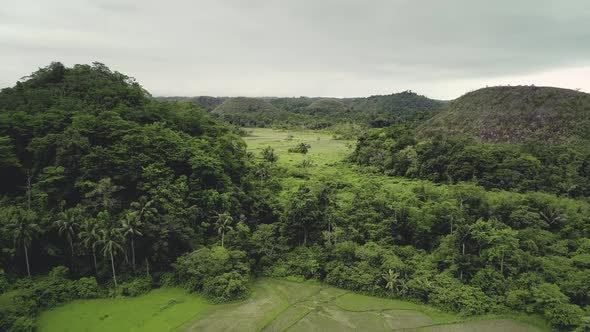 Philippines Jungle Chocolate Hills Aerial View on Bohol Island alt