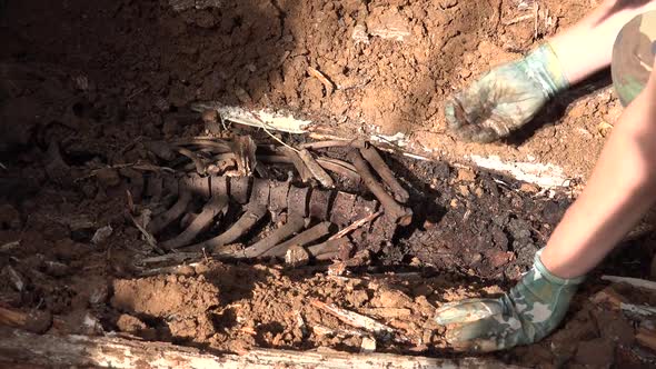 Exhumation Of Human Remains 4