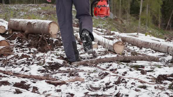 Lumberjack With Chainsaw Goes To Forest To Chop Trees