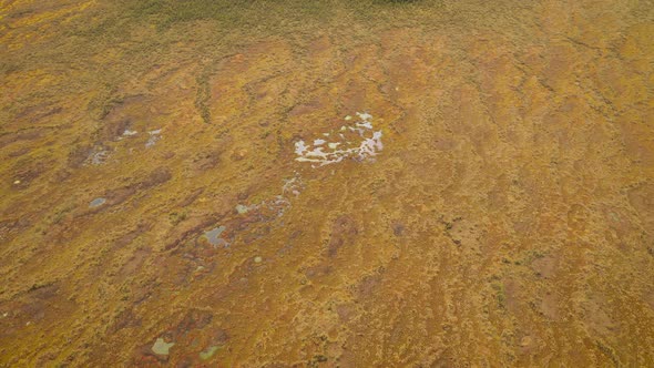 Aerial Top View of Huge Swampland with Puddles and Plants on It Surface