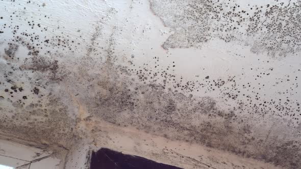 Covid19 and Black Fungus in India alt