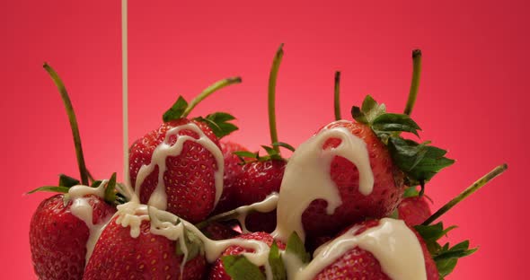 Ripe strawberries with sweetened condensed milk on red background. alt