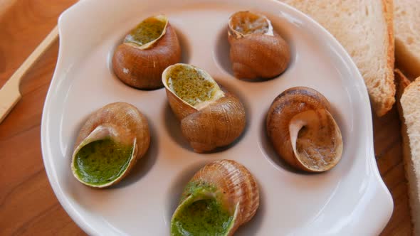A Ready Made Dish of Snails in a Sauce on a Special Plate in a Restaurant alt