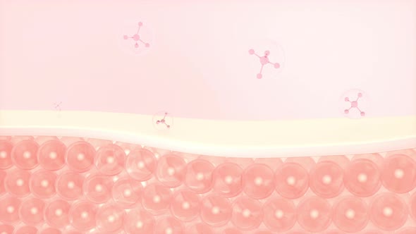 Skin cells and molecular structure alt