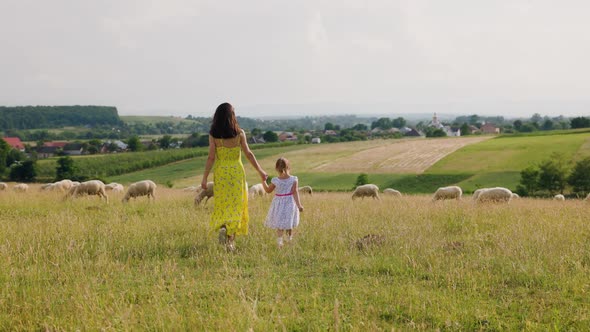 Mother and Doughter Walking to Sheep Lamb Flock at the Grass Field in Summer Day