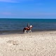 man riding a horse - VideoHive Item for Sale