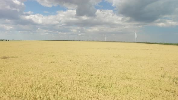 Modern Wind Turbines Generating Green Energy in a Wheat Field, Aerial Survey alt