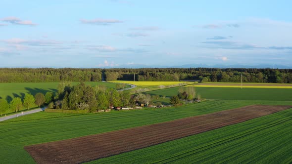Rising up drone shot over agricultural fields at the springtime with the alps mountain view in the b alt