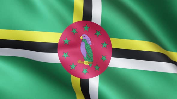 Dominican flag | Flag of Dominica | UHD | 60fps alt