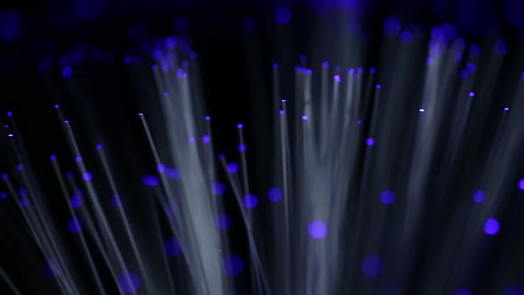 Optical fibers network cable