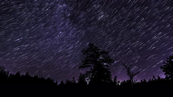 Star Trails in the Night Sky alt