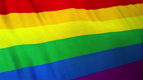 Rainbow Gay Pride Flag Loop