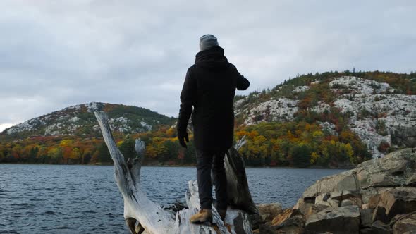 Climbing a Log in Fall Tree Colours in Slow Motion, Wide Handheld Pan. Autumn Nature Hiking in Canad alt