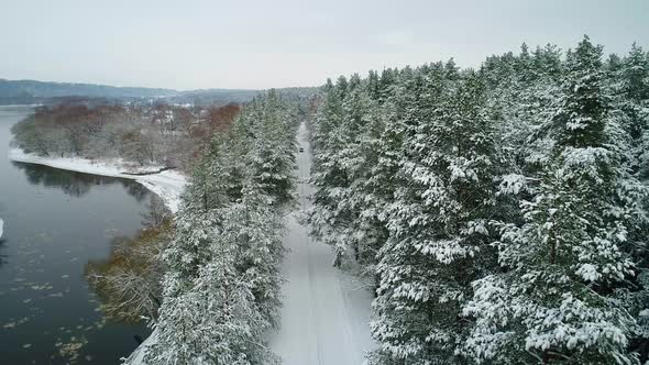 Aerial View of Car Moving in Winter Forest