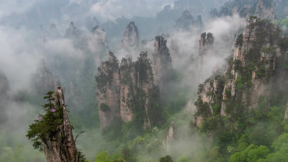 Time Lapse of Avatar Floating Mountains in Zhangjiajie Forest Park, China, Clouds and Morning Fog alt