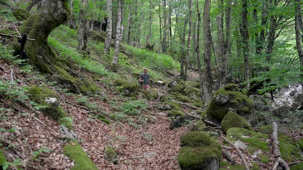 Tourist Man Hiker with Backpack Walking in Mountains Forest with Rocks
