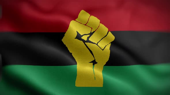 Black Liberation Flag Front