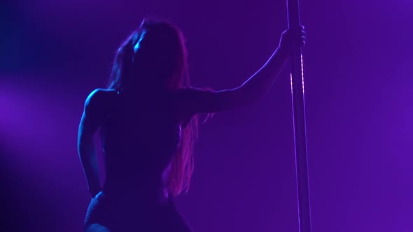 Young Sexy Slender Woman Dancing on a Pole Striptease with a Pylon in a Nightclub alt