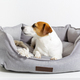 Dog jack russell terrier lying in gray pet bed with cord toy, and looking away. - PhotoDune Item for Sale