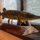 Carved wooden fish pike on a stand. DIY concept. - PhotoDune Item for Sale