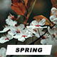Spring Photoshop Actions