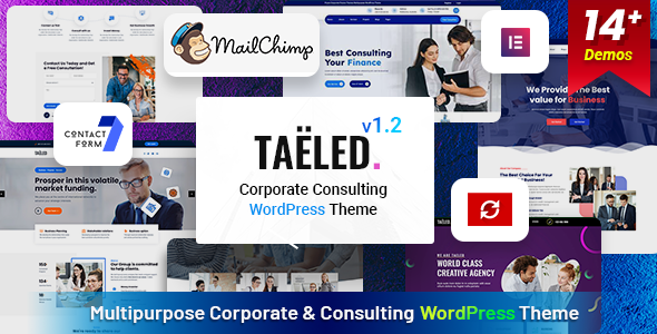 TAELED - Business Consulting
