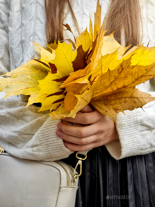 Closeup image of young woman in sweater posing with bunch of yellow autumn leaves - Stock Photo - Images