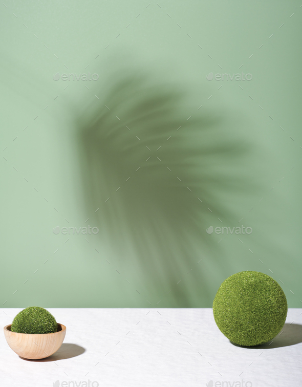 summer template with palm leaf shadows and green moss ball. product placement